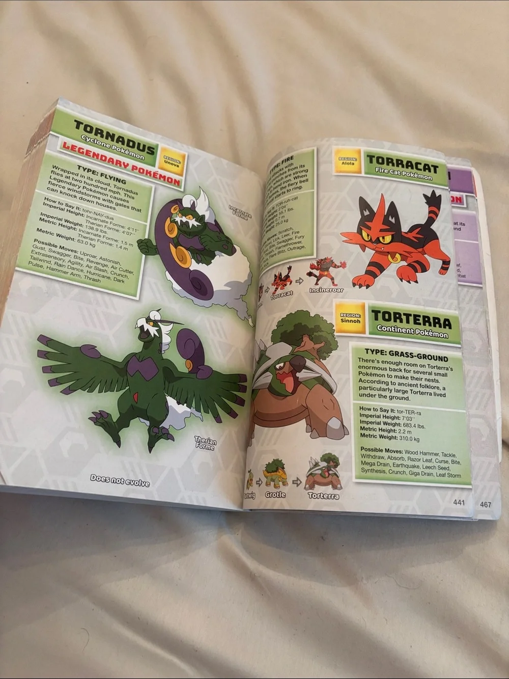 Pokemon image shows